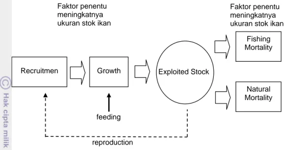 Gambar 4 Dinamika stok ikan yang dieksploitasi (Pauly 1984). 