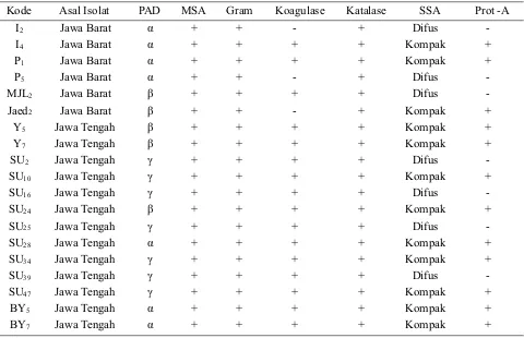 Tabel 1. Hasil reidentifikasi Staphylococcus aureus asal Jawa Barat dan Jawa Tengah