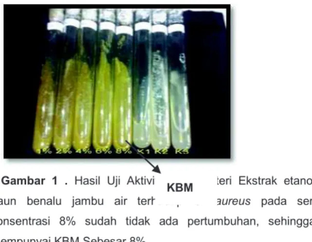 Gambar  1  .  Hasil  Uji  Aktivitas  Antibakteri  Ekstrak  etanol 