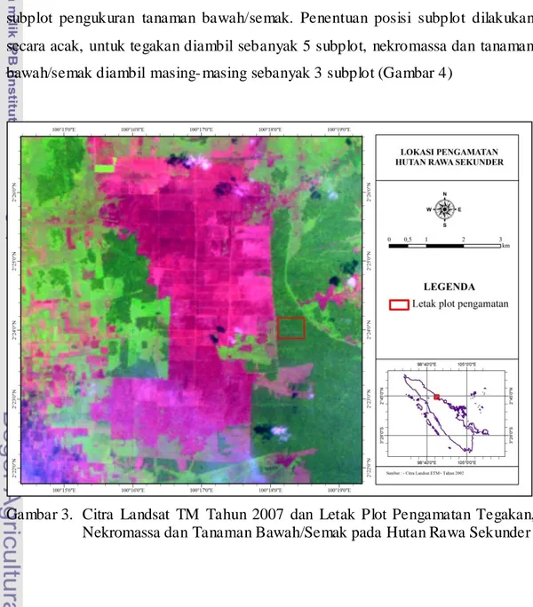 Gambar 3.  Citra  Landsat  TM  Tahun  2007  dan  Letak  Plot  Pengamatan  Tegakan,  Nekromassa dan Tanaman Bawah/Semak pada Hutan Rawa Sekunder 