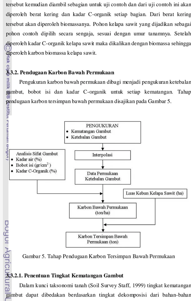 Gambar 5. Tahap Pendugaan Karbon Tersimpan Bawah Permukaan 