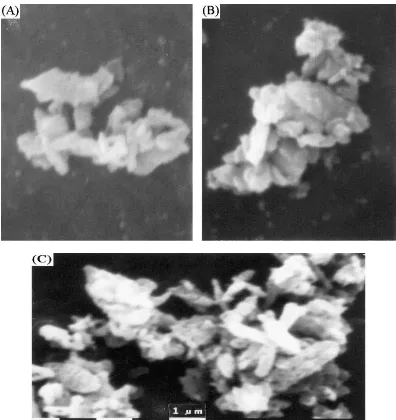 Gambar 2. SEM sampel Ba1-xSrxTiO3 yang telah dikalsinasi (a) Kalsinasi T= 700 °C, 2   jam, x = 0; (b) Kalsinasi T= 700 °C, 2 jam, x = 0,2; (c) Kalsinasi T= 1100   °C, 6 jam, x = 0