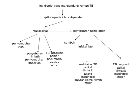 Gambar 6.2. Patogenesis Penyakit TB 