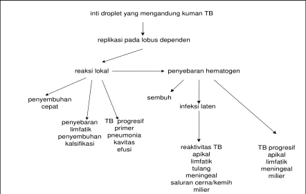 Gambar 6.2. Patogenesis Penyakit TB 
