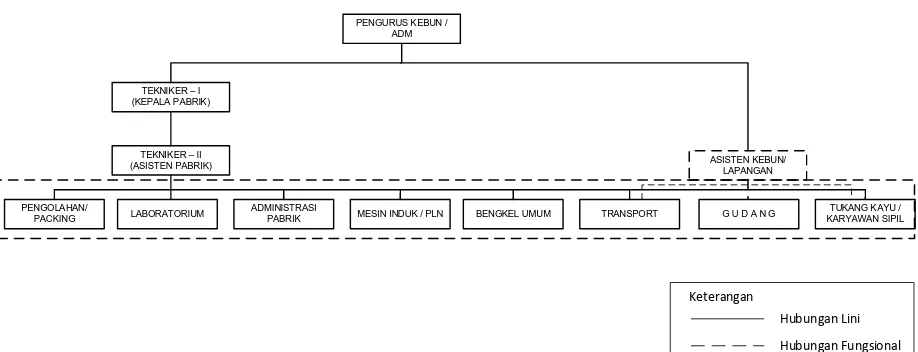 Gambar 2.1. Struktur Organisasi PT. Socfin Indonesia Tanah Besih 