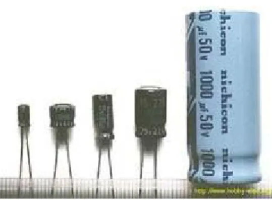 Gambar 2.9  Electrolytic Capacitor (ELCO) 