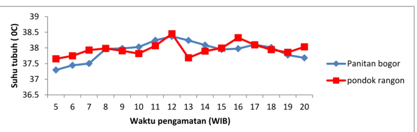 Gambar 4 Rataan fluktuasi suhu tubuh (Tb) sapi dara PFH tiap jam dari pukul 05.00  hingga pukul 20.00 antara daerah Bogor dengan Jakarta 