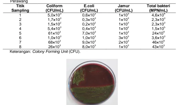 Tabel  2.  Analisis  Coliform,  E.  coli,  jamur  dan  total  bakteri  pada  sampel  air  DAS  Siak  daerah  Meredan  dan  Perawang 
