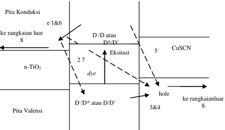 Gambar 6  Skema injeksi elektron. 20Pita Valensi Pita Konduksi ke rangkaian luar 8 e-1&amp;6 D-/D atau D*/D+n-TiO2D-/D* atau D/D+Eksitasi dye  CuSCN hole  ke rangkaianluar 8 3&amp;4 5 2 7 