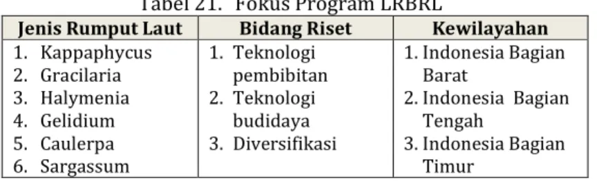Tabel 21.  Fokus Program LRBRL 