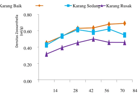 Gambar 5.   Rata-rata Pertumbuhan spesifik juvenil kima pada setiap lokasi  penelitian