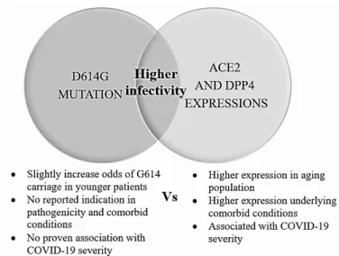 FIGURE  1. Proposed relationship of D614G mutation and expressions of  ACE 2  and  DPP 4 of  COVID -19 related infectivity and severity