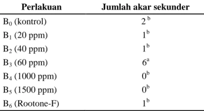 Tabel 5   Uji  lanjutan  Duncan  pengaruh  pemberian  ZPT  terhadap  jumlah  akar  sekunder  stek  umur  60  HST 