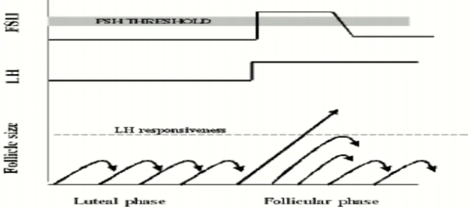 Diagram skematik dari Ambang FSH (FSH Threshold) 