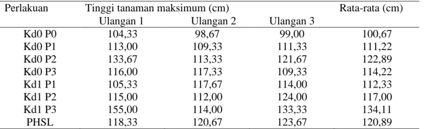 Tabel 2. Tinggi Tanaman Maksimum (cm) 