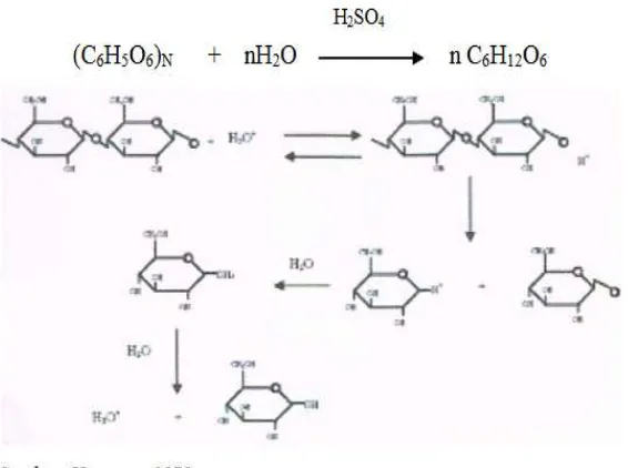 Gambar 2. Mekanisme pemecahan lipid 