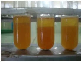 Gambar 3. Reaksi flavonoid dengan HCl dan logam Magnesium 