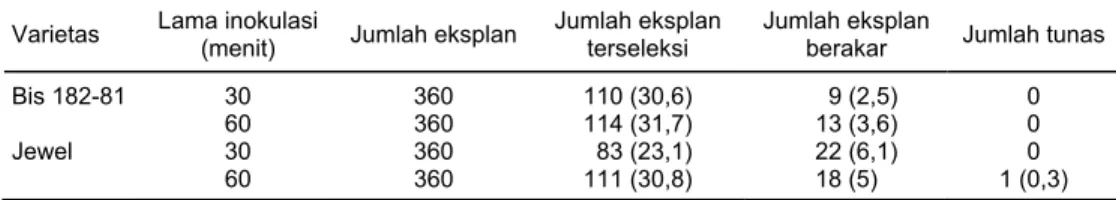Tabel 4.  Transformasi ubi jalar dengan gen CP-SPFMV dengan perbedaan lama inokulasi 