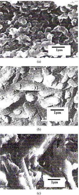 Gambar 13: Foto SEM dari keramik alumina: (a). Tanpa adi- adi-tif yang disinter 1600 ◦ C, (b)