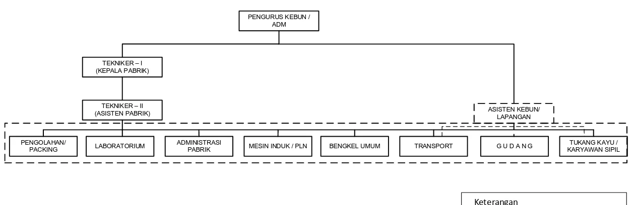 Gambar 2.1. Struktur Organisasi PT. SOCFINDO Kebun Tanah Besih