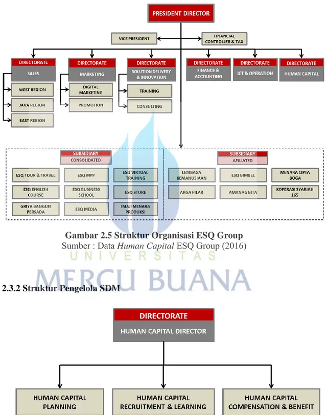 Gambar 2.5 Struktur Organisasi ESQ Group  Sumber : Data Human Capital ESQ Group (2016) 