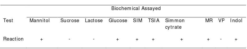 Table 1. Salmonella sp. bacteria isolated from feces of broiler chickens  