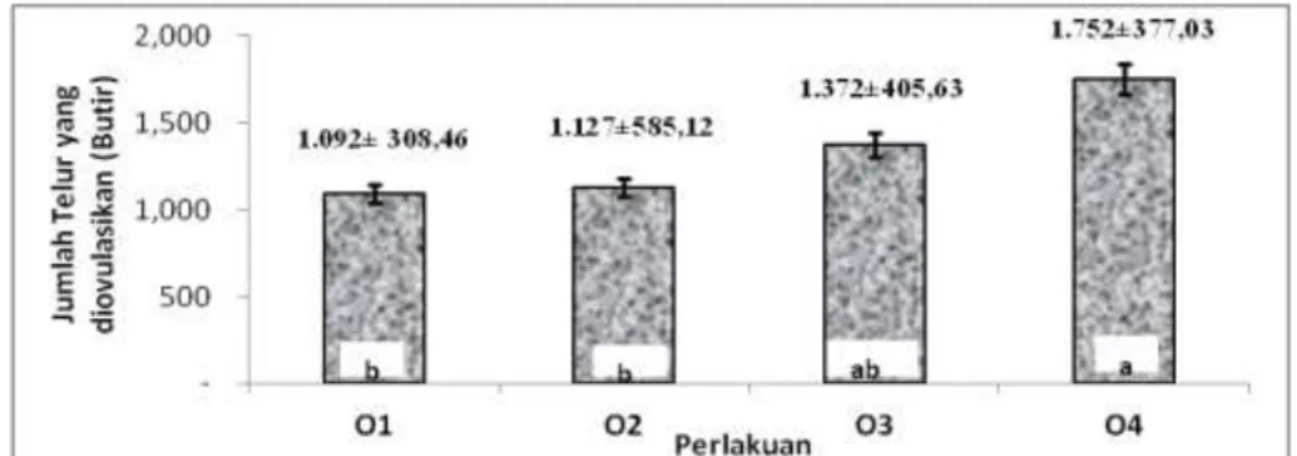 Gambar  1.  Rata  rata  Jumlah  telur  yang  diovulasikan  tiap  perlakuan.  (O1)Ovaprim,  (O2)  Ovaprim+hCG (O3) Ovaprim+AI (O4) AI+Oxytocin