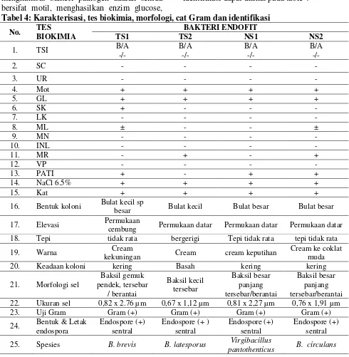 Tabel 4: Karakterisasi, tes biokimia, morfologi, cat Gram dan identifikasi 