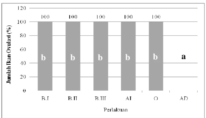 Gambar 3. Grafik keberhasilan pemijahan ikan sumatra Puntius tetrazona 