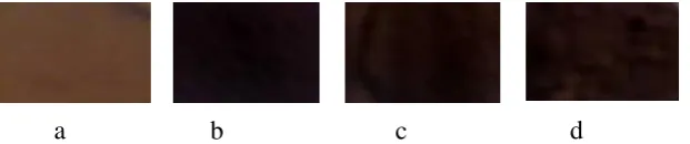 Gambar 2. BaFe11‚8Co0‚2 O19 (a)  T= 80 oC (b) T= 400oC (c) T= 600 oC  dan (d) T= 800oC   