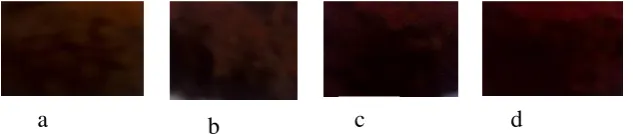 Gambar 4. BaFe11‚2Co0‚8 O19  (a)  T= 80 oC (b) T= 400oC (c) T= 600 oC  dan (d) T= 800oC  