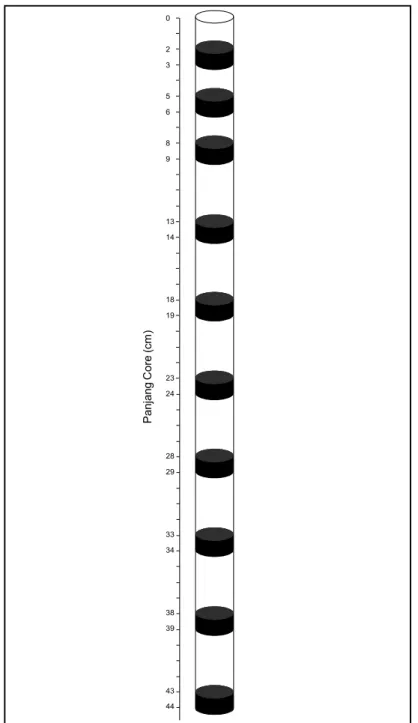 Gambar 5. 2.Contoh  potongan  sampel  core  sedimen  secara  horizontal (● = sampel/lapisan yang dianalisis)