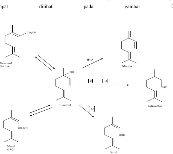 Gambar 2.3 Perubahan Senyawa Monoterpen  (Achmad, 1985) 