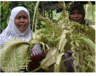 Gambar 1: Janur 