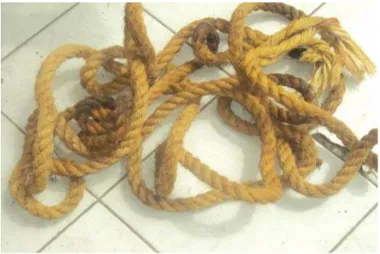 Gambar 9 adalah gambar tali yang terbuat dari sabut kelapa, tali ini sangat kuat dan biasanya digunakan oleh masyarakat untuk tali ikat tambang
