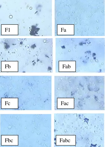 Gambar 4. Hasil pengamatan mikroskopik tipe emulgel (perbesaran 40x) Fabc Fbc Fac Fc Fab Fb Fa F1 