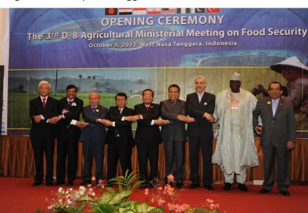Gambar 1.  Opening Ceremony the 3 rd  D8 Agricultural Ministerial Meeting  on Food Security 