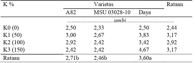Tabel 2. Jumlah umbi per sampel dari tiga varietas ubi jalar dengan pemberianpupuk anorganik