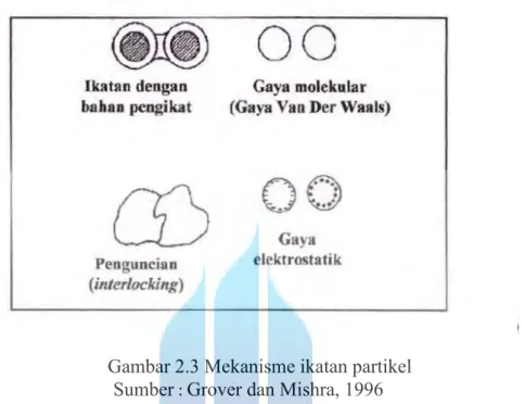 Gambar 2.3 Mekanisme ikatan partikel  Sumber  :  Grover dan Mishra, 1996 