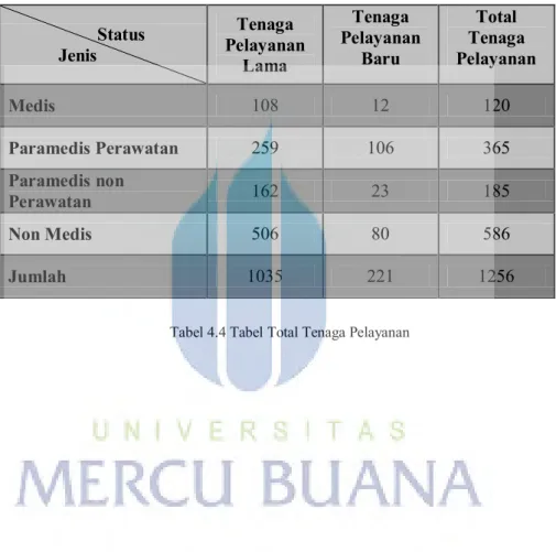 Tabel 4.4 Tabel Total Tenaga Pelayanan 