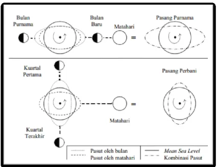 Gambar I. 3.Pengaruh posisi bulan dan matahari terhadap pasut (fase bulan)  (Pugh 1987) 
