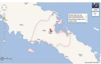 Gambar 3.1.Lokasi Embung Seifulu hasil pencitraan Google Earth