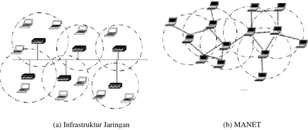 Gambar 2.1. Struktur Jaringan Nirkabel (Thomas Staub 2004) 