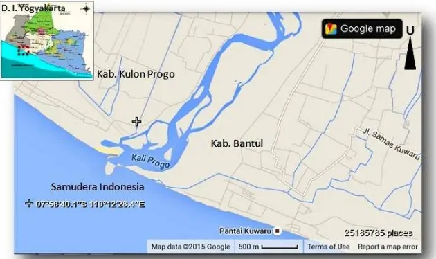 Gambar 1 . Lokasi penelitian di muara Sungai Progo, wilayah Desa Banaran, Kecamatan Galur, Kabupaten Kulonprogo