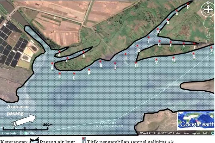 Tabel 2. Variasi salinitas air di muara Sungai Progo berdasarkan jarak dari pantai Salinitas 0 – 10 ppm Salinitas >10 – 20 ppm Salinitas > 20 ppm 