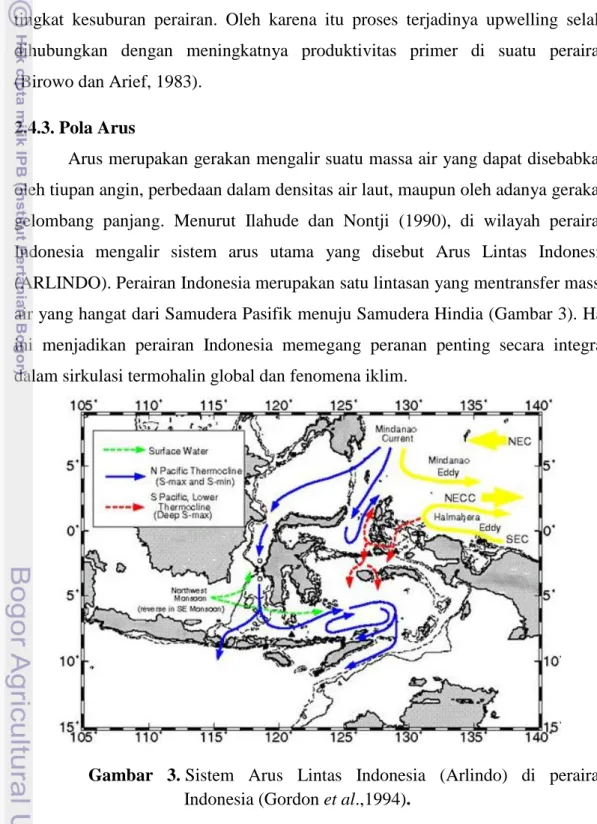 Gambar  3. Sistem  Arus  Lintas  Indonesia  (Arlindo)  di  perairan  Indonesia (Gordon et al.,1994)