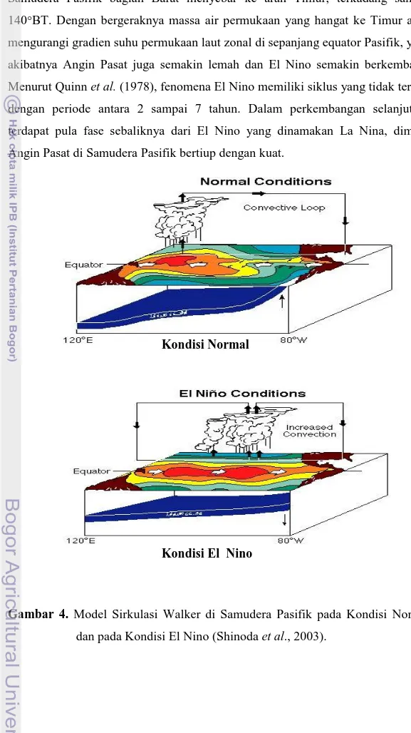 Gambar  4.  Model  Sirkulasi  Walker  di  Samudera  Pasifik  pada  Kondisi  Normal  dan pada Kondisi El Nino (Shinoda et al., 2003)