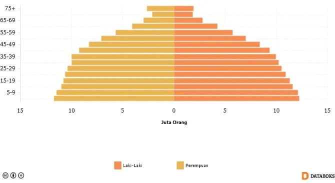 Grafik  Penduduk Indonesia Menurut Usia