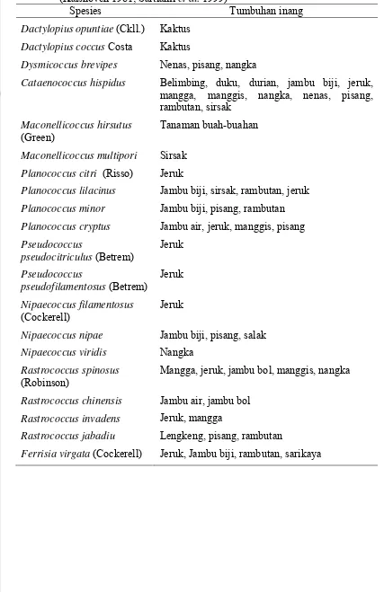 Tabel 1 Spesies kutu putih yang ditemukan di Indonesia sebelum tahun 2008 (Kalshoven 1981; Sartiami et al
