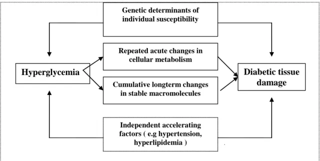 Gambar 1. Skema kerusakan jaringan akibat hiperglikemia pada DMT2  Berbagai dampak glucotoxicity  